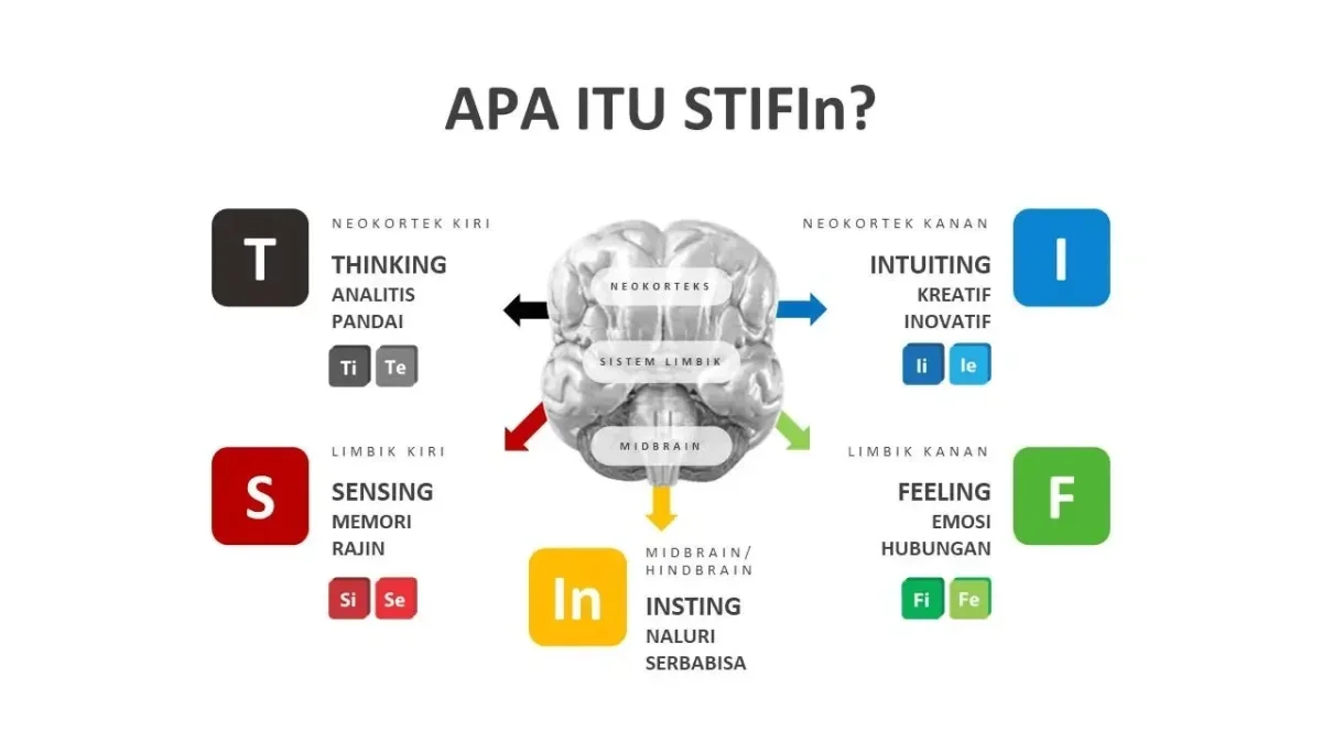 Mesin Kecerdasan STIFIn